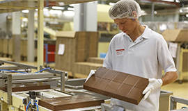 Barry Callebaut cria negócio sustentável para cultivo de cacau