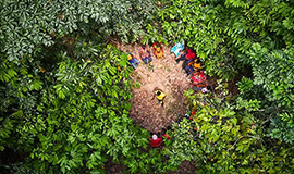 Ofi foca em impulsionar o impacto da sustentabilidade nos setores de alimentos e bebidas