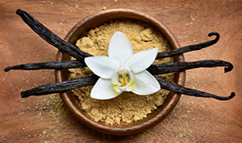 Cientistas desenvolvem enzima para produzir vanilina natural de plantas