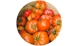 Lycored explora os benefícios e potencial do tomate no aprimoramento do sabor