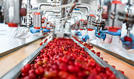 Como reduzir desperdício e maximizar nutrientes em produtos alimentícios