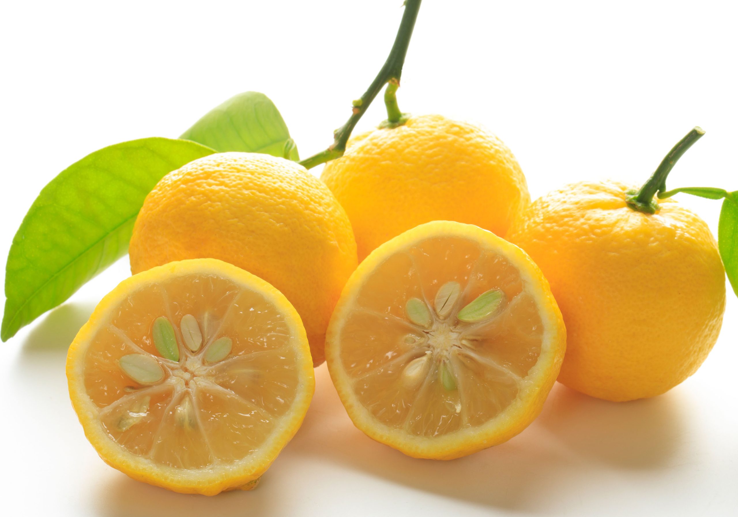Yuzu – Intensificando sabores com benefícios nutricionais