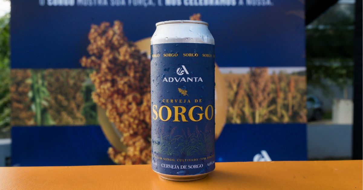 Sorgo avança no segmento de bebidas e revela potencial para cerveja sem glúten